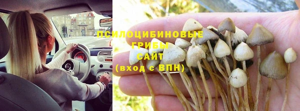 спиды Абдулино
