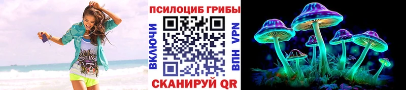 Псилоцибиновые грибы прущие грибы  Черноголовка 